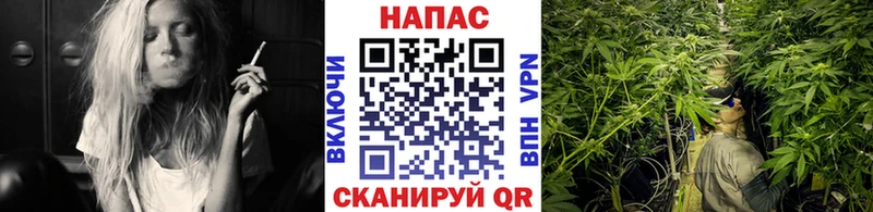 Наркошоп купить Каннабис  СК  КОКАИН  Галлюциногенные грибы  Меф  ГАШ  Алупка