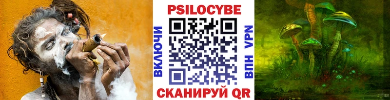 Псилоцибиновые грибы Psilocybine cubensis  Купить где  Алупка 